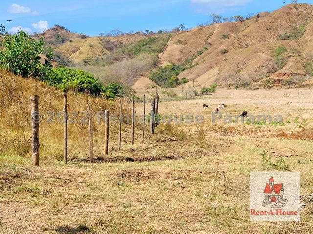 Commercial Property for Sale in Pedasi Los Santos 06065